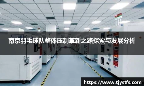 南京羽毛球队整体压制革新之路探索与发展分析