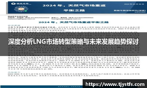 深度分析LNG市场转型策略与未来发展趋势探讨
